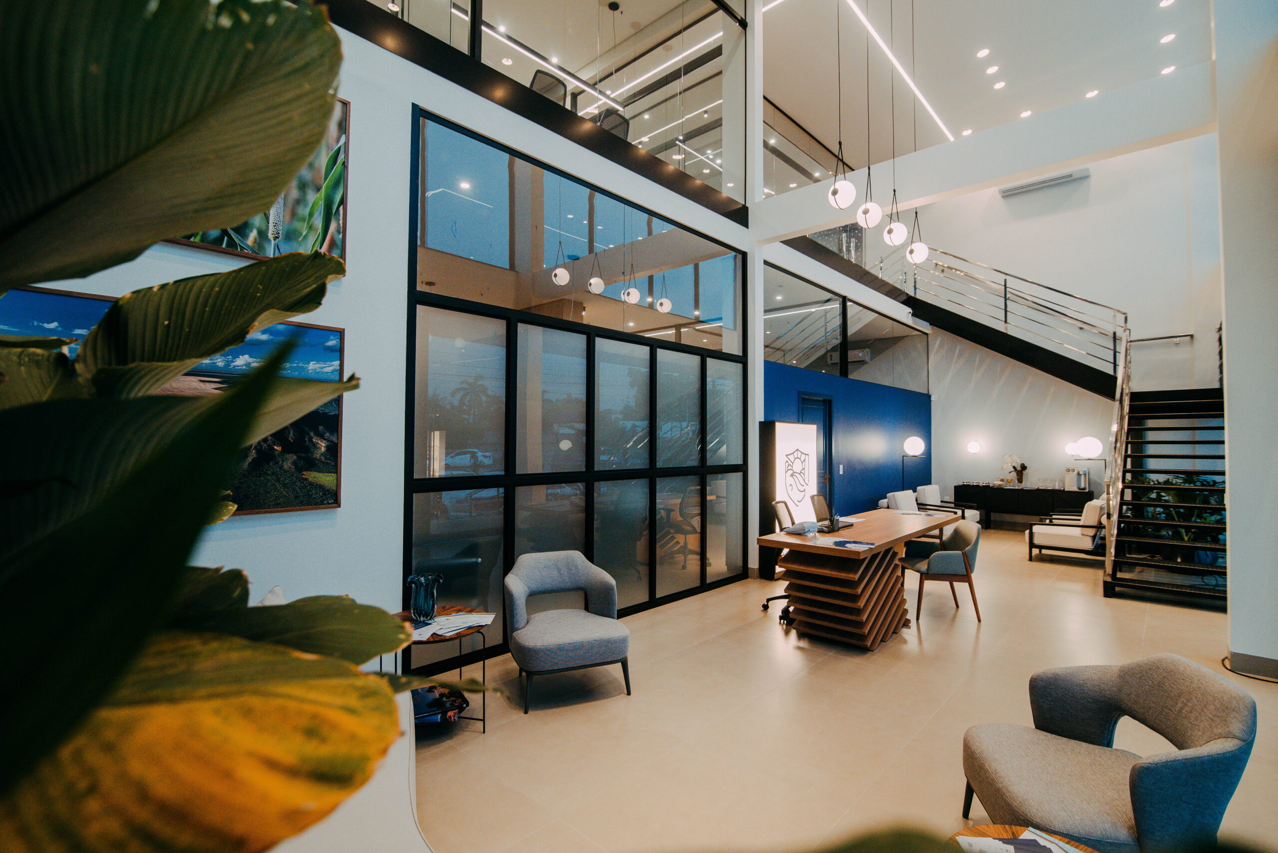 Cópia de Carroll-224-min